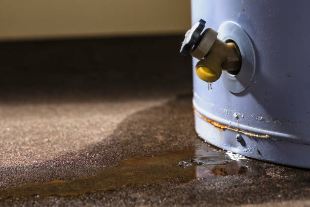 Best Flood damage cleanup  in Amity Gardens, PA