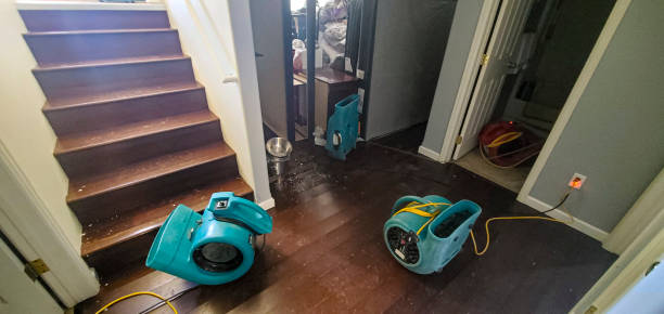 Best Emergency water damage restoration  in Amity Gardens, PA