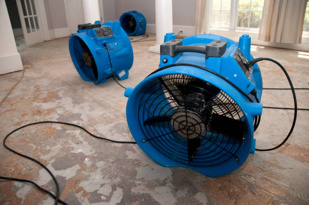 Best Water damage contractors near me  in Amity Gardens, PA