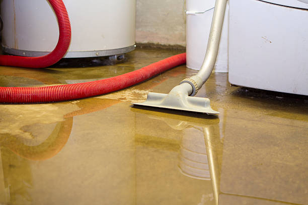 Best 24/7 water damage repair  in Amity Gardens, PA
