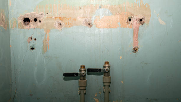 Best Water damage restoration near me  in Amity Gardens, PA