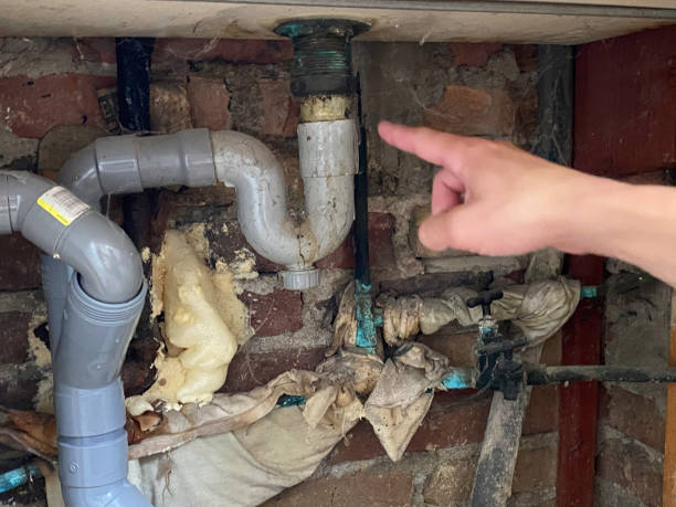 Best Flood restoration services  in Amity Gardens, PA